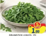 Drumstick Leaves