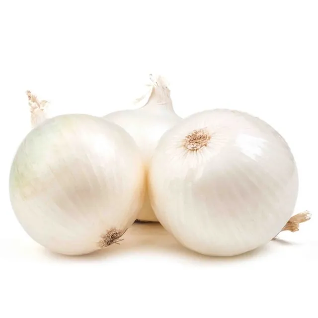 Onion White