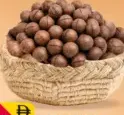 Macadamia Nuts
