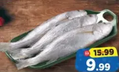 سمك سلمون Kora