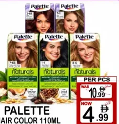 Palette Hair Color