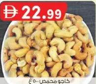 Cashew Roasted W240