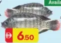 سمك بلطي