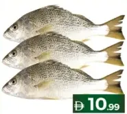Fresh Nagroor Fish