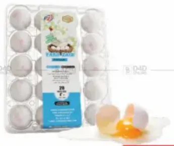 Faro Zaib White Eggs
