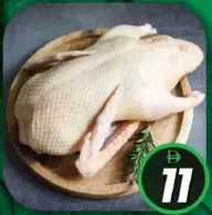 Duck