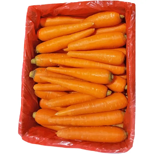 Carrot China