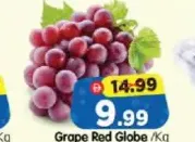 Grape Red Globe