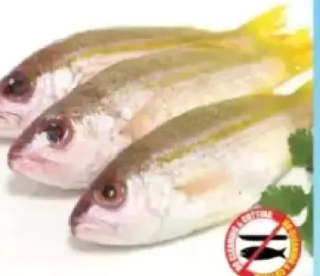 Niser Fish