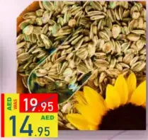 Sunflower Seed
