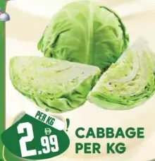 Cabbage