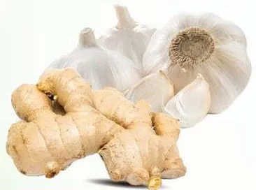 ثوم صيني/زنجبيل الصين