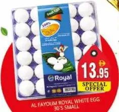 Al Fayoum Royal White Egg Small