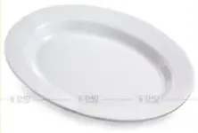 Expo Melamine Plate