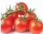 Tomato Round