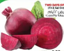 شمندر