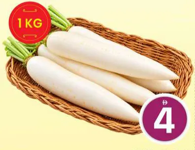 White Radish