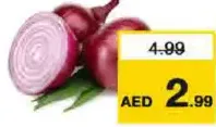 Onion