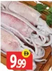 Squid Big