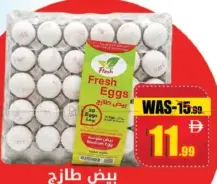 Fresh Egg