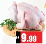 دجاج طازج