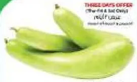 Bottle Gourd (Kadhu) Long Local