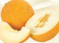 شمام حلو هندي