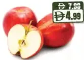 Apple Red