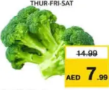 بروكلي بلين سولي