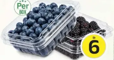 Blueberry/Blackberry Pkt