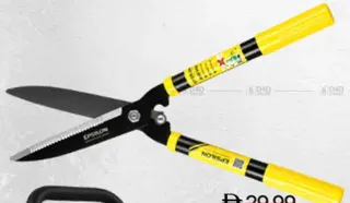 Epsilon Hedge shears