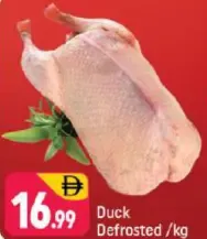 Duck Defrosted