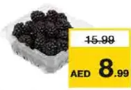 توت اسود بالعلبة