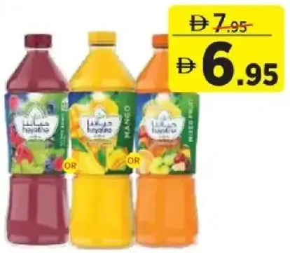 Hayatna Mango/Berry/Mixed Fruit Nectar Juice