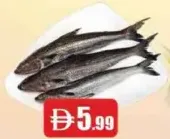 سمك المكرونة