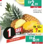 Pineapple