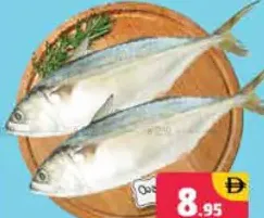 Mackerel Fish