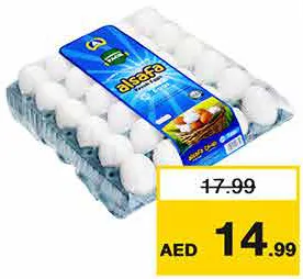 Al Safa Egg Economy Small