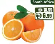 Orange Valencia