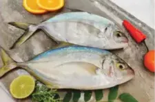 faru para