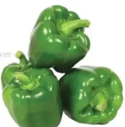 فلفل رومي أخضر (إيران)
