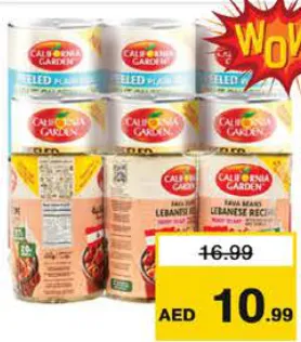 California Garden Peeled PlainFoul LightStomach/Foul Madames Lebanese Recipe/Peeled Medammas Eoe