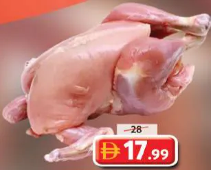 Fresh Chicken Leghorn