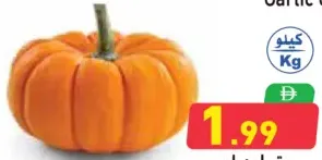 Red Pumpkin