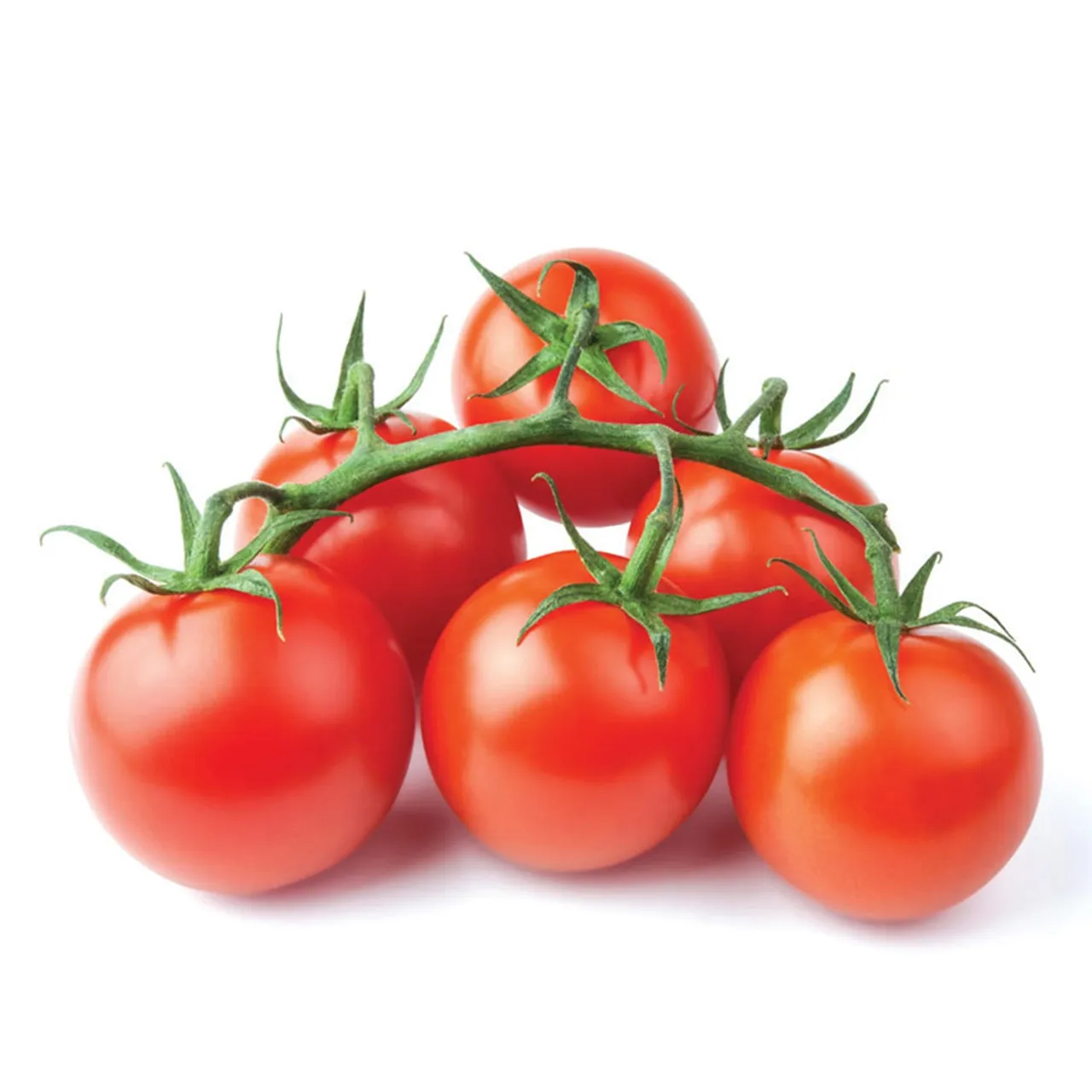 Fresh طماطم عنقودية / كيلوجرام