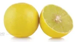 Yellow Lime