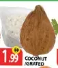 Coconut Grated