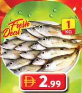 Fresh Naizer