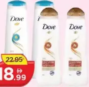 Dove Shampoo Assorted