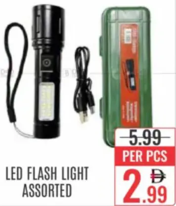 Led Flash Light ASSORTED